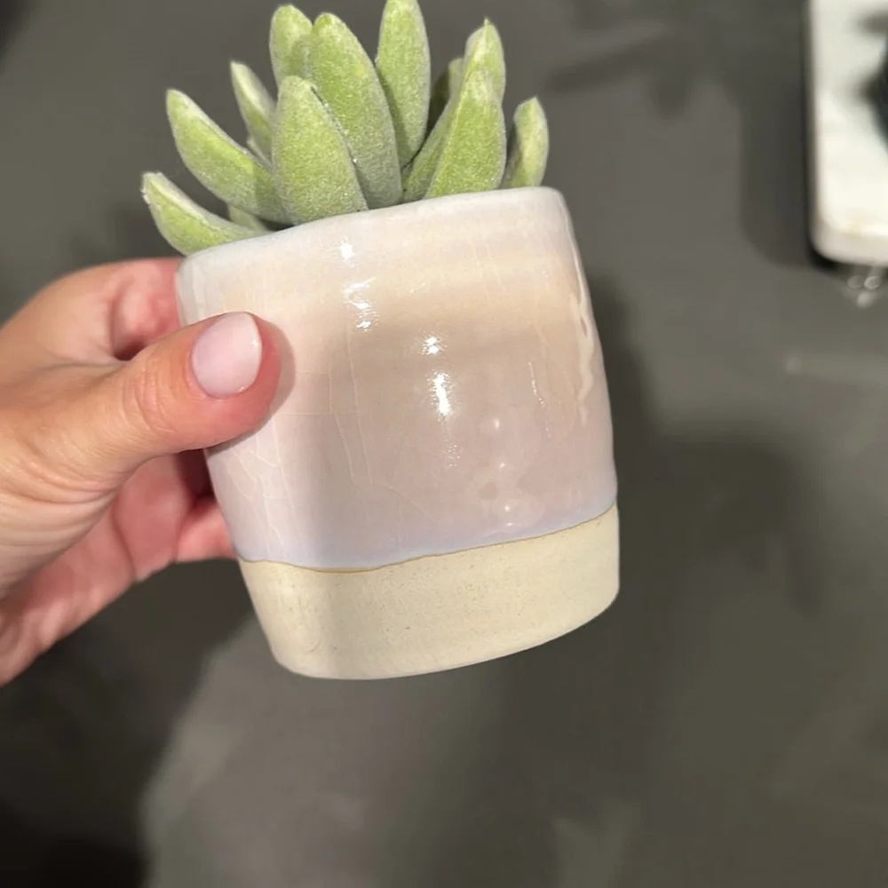 Threshold Tabletop Arrangement